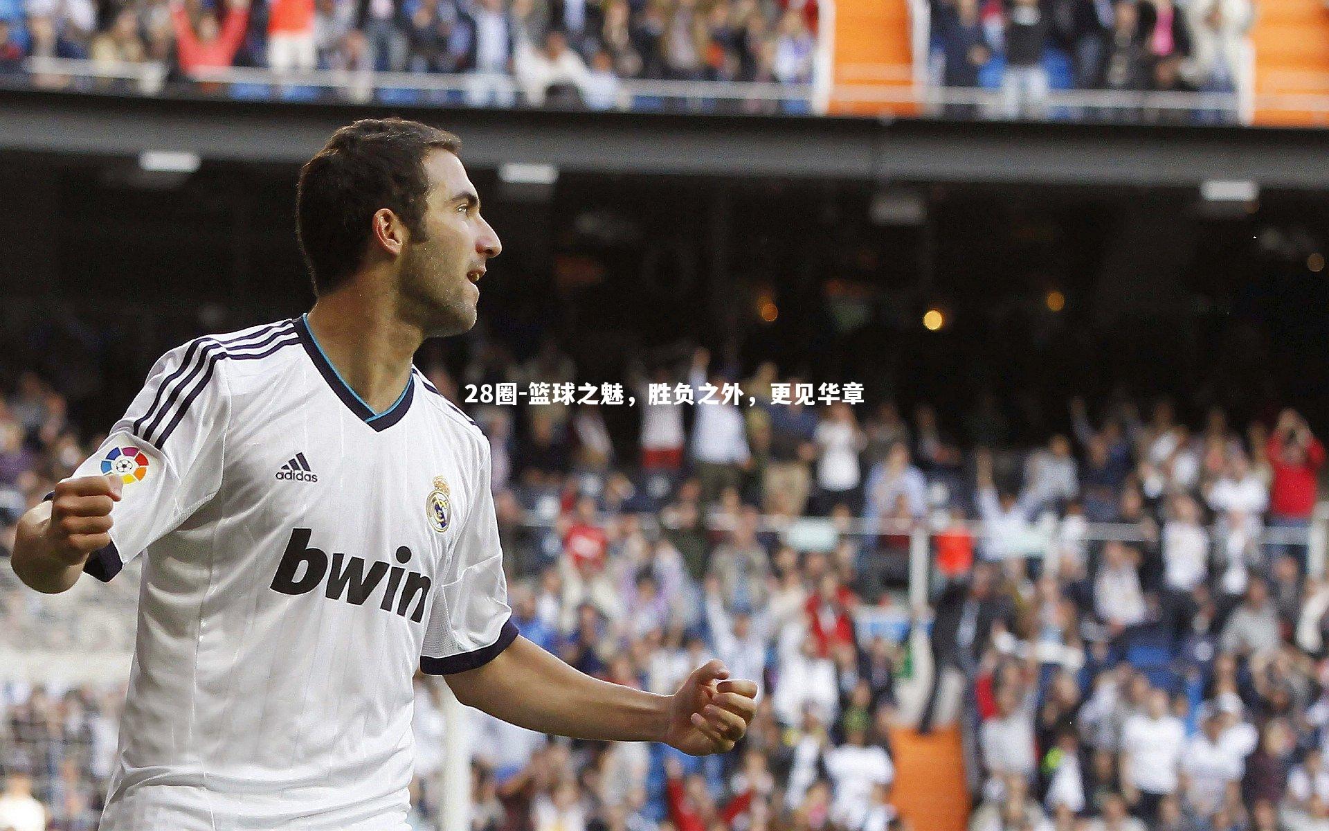 篮球之魅,胜负之外,更见华章